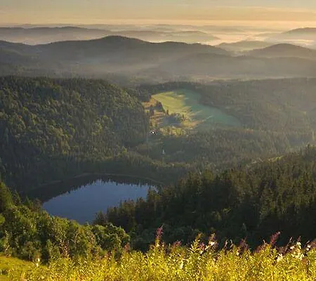 Appartementhotel Breitmattstub Appart hôtel