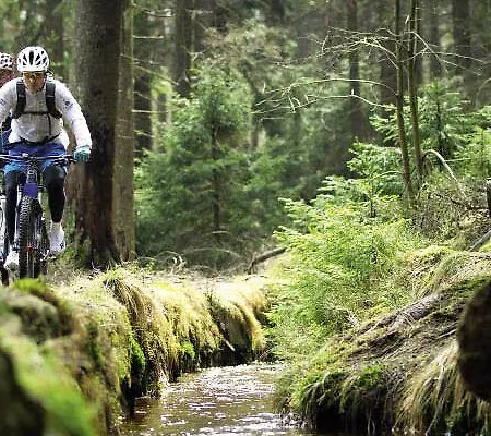 Appartementhotel Breitmattstub Appart hôtel Bühlertal