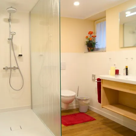 Appart hôtel Appartementhotel Breitmattstub Bühlertal