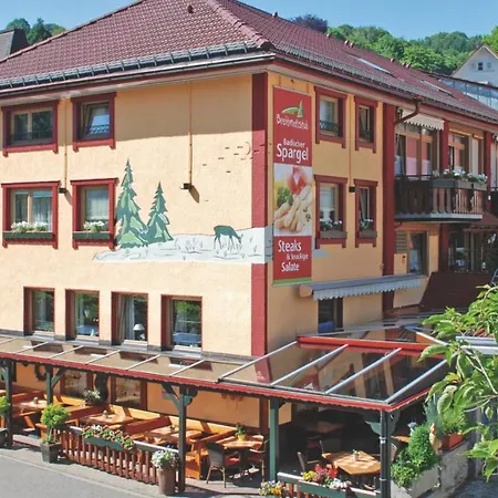 Appart hôtel Appartementhotel Breitmattstub